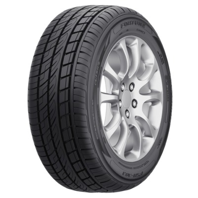 Fortune FSR-303 245 50 R20 102W